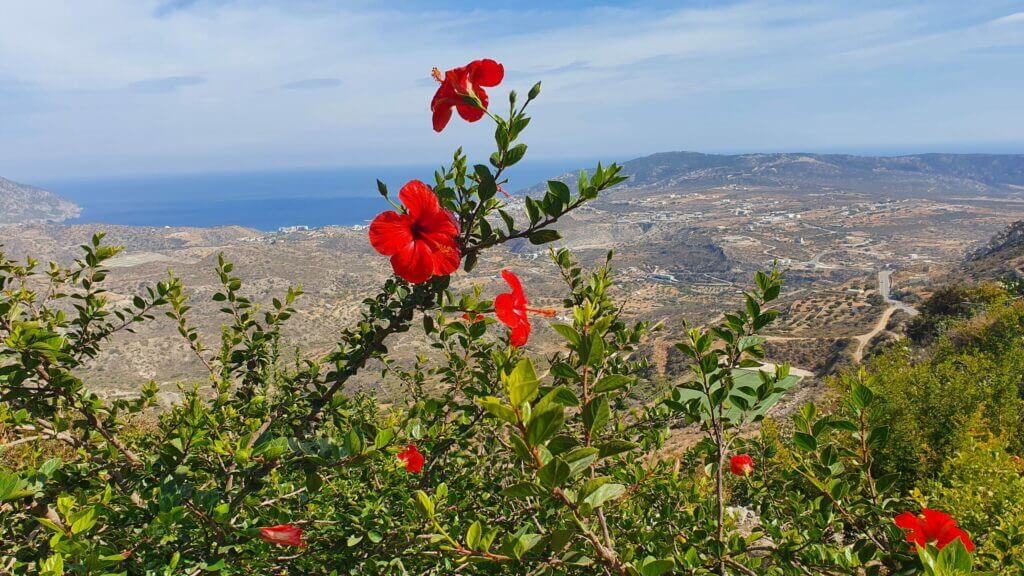 Aussicht über die hügelige Landschaft von Karpathos